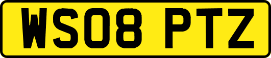 WS08PTZ