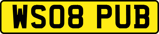 WS08PUB