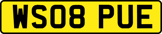 WS08PUE
