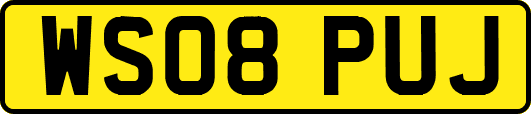 WS08PUJ