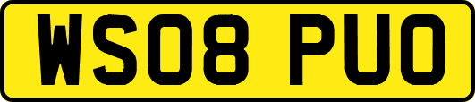 WS08PUO
