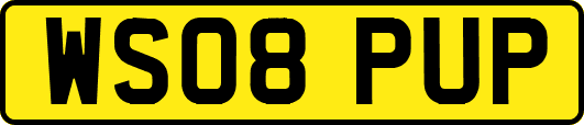 WS08PUP