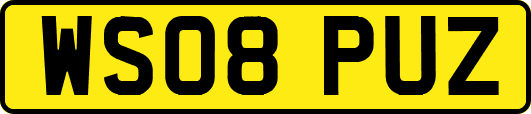 WS08PUZ