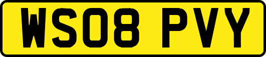 WS08PVY