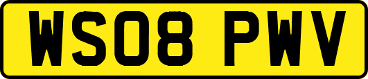 WS08PWV