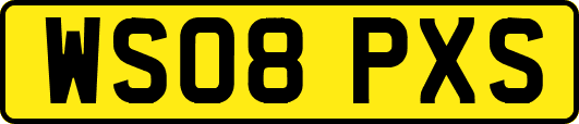 WS08PXS