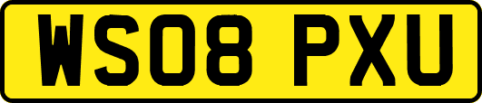 WS08PXU