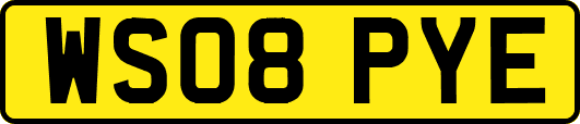 WS08PYE