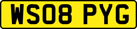WS08PYG