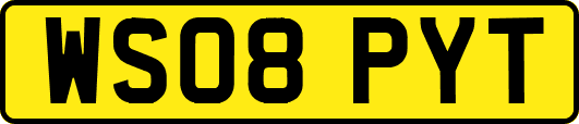WS08PYT