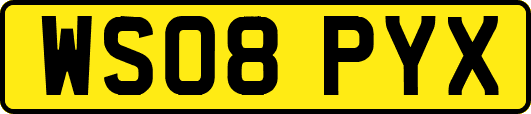 WS08PYX