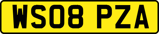 WS08PZA