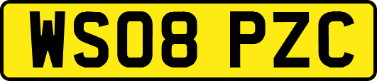 WS08PZC
