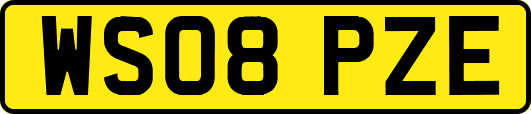 WS08PZE