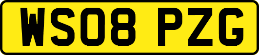 WS08PZG