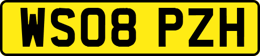 WS08PZH