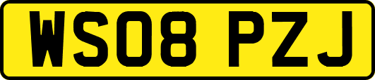 WS08PZJ
