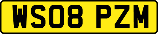 WS08PZM