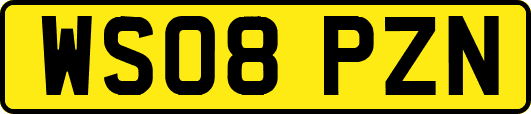 WS08PZN