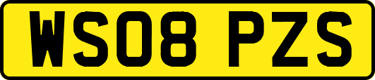 WS08PZS