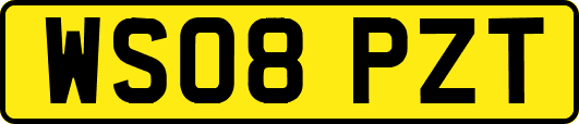 WS08PZT