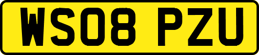 WS08PZU