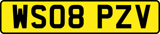 WS08PZV