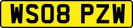 WS08PZW