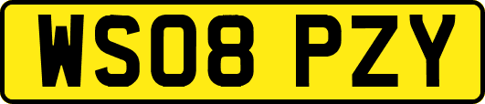 WS08PZY