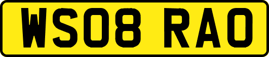 WS08RAO