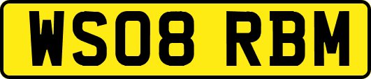 WS08RBM