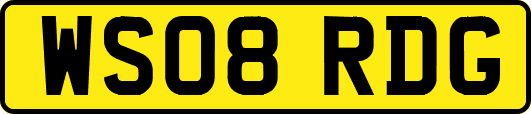 WS08RDG