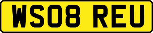WS08REU