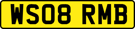 WS08RMB