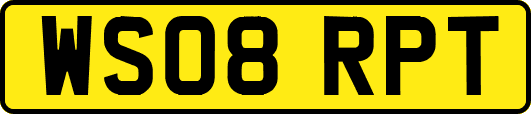 WS08RPT