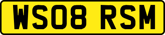 WS08RSM
