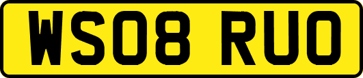 WS08RUO
