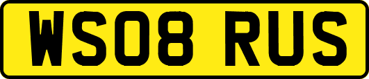 WS08RUS