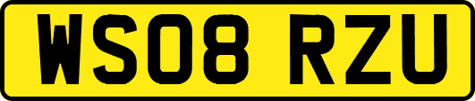 WS08RZU