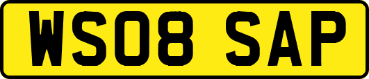 WS08SAP