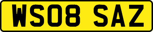 WS08SAZ