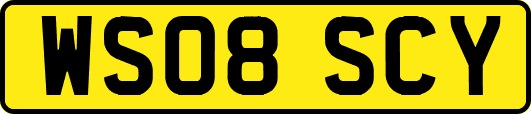 WS08SCY