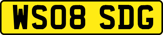 WS08SDG