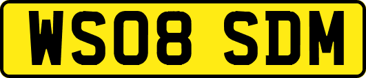 WS08SDM
