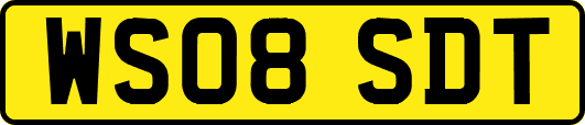 WS08SDT
