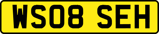 WS08SEH