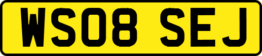 WS08SEJ