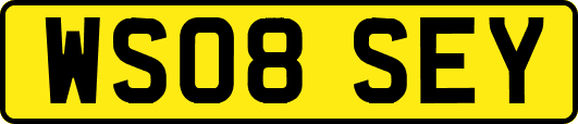 WS08SEY