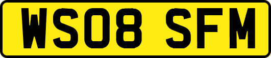 WS08SFM
