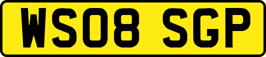 WS08SGP